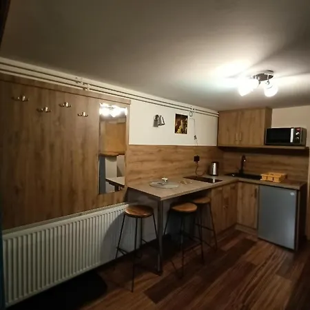 Apartment Wynajem U Patryka Poronin