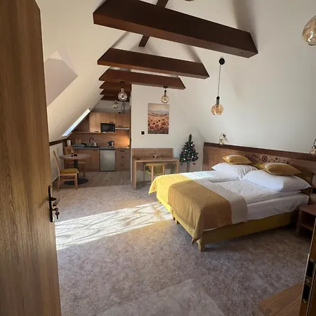 Wynajem U Patryka * פורונין