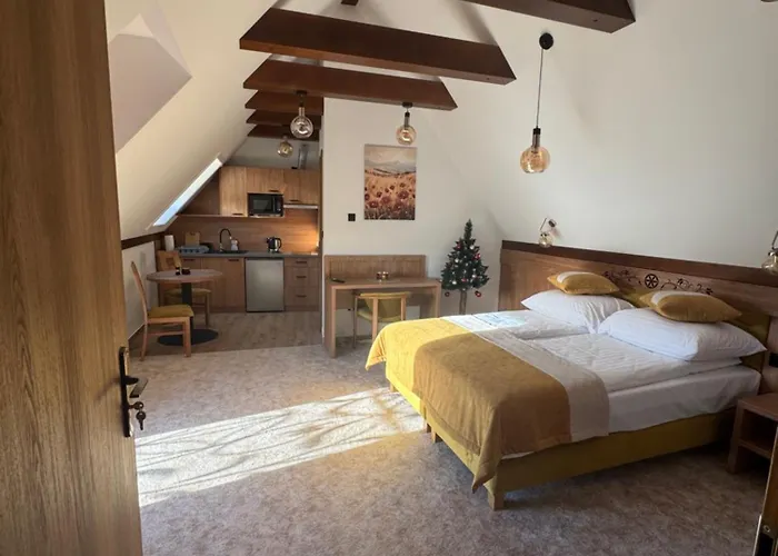 Wynajem U Patryka * פורונין